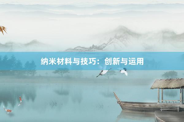 纳米材料与技巧:创新与运用
