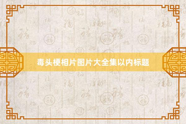 毒头梗相片图片大全集以内标题
